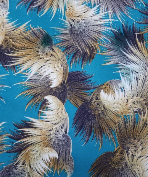Printed Scuba