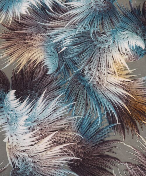 Printed Scuba