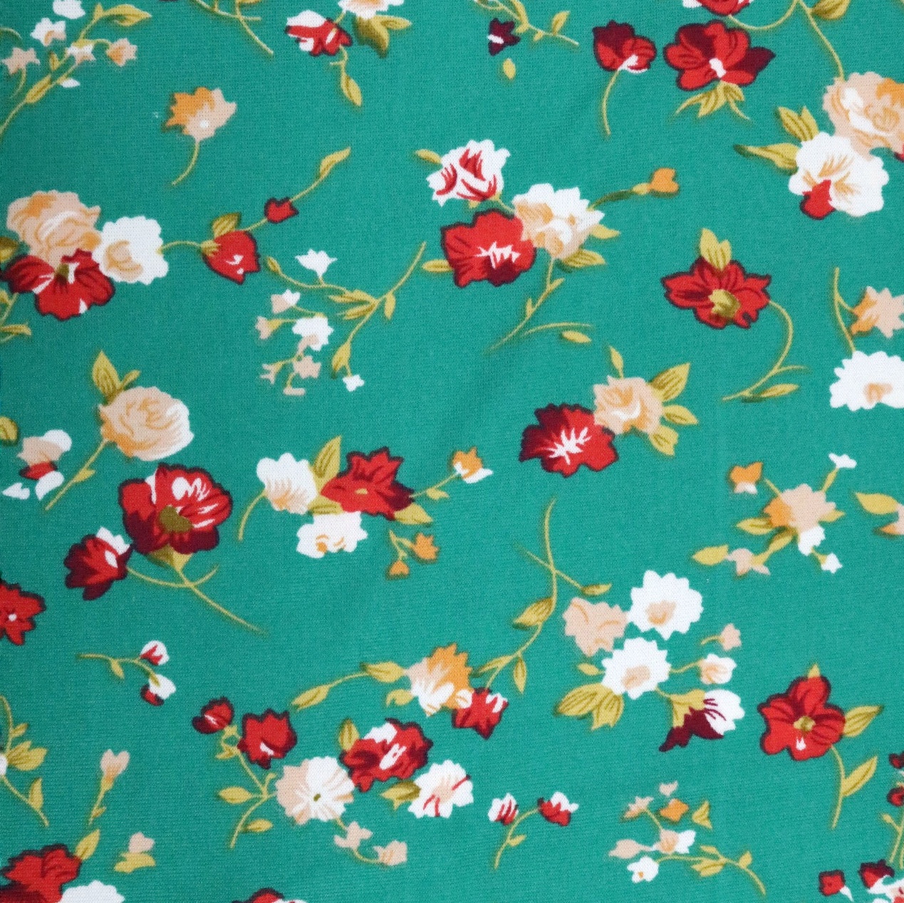 T-Shirting - Printed Brushed DTY - Image 3