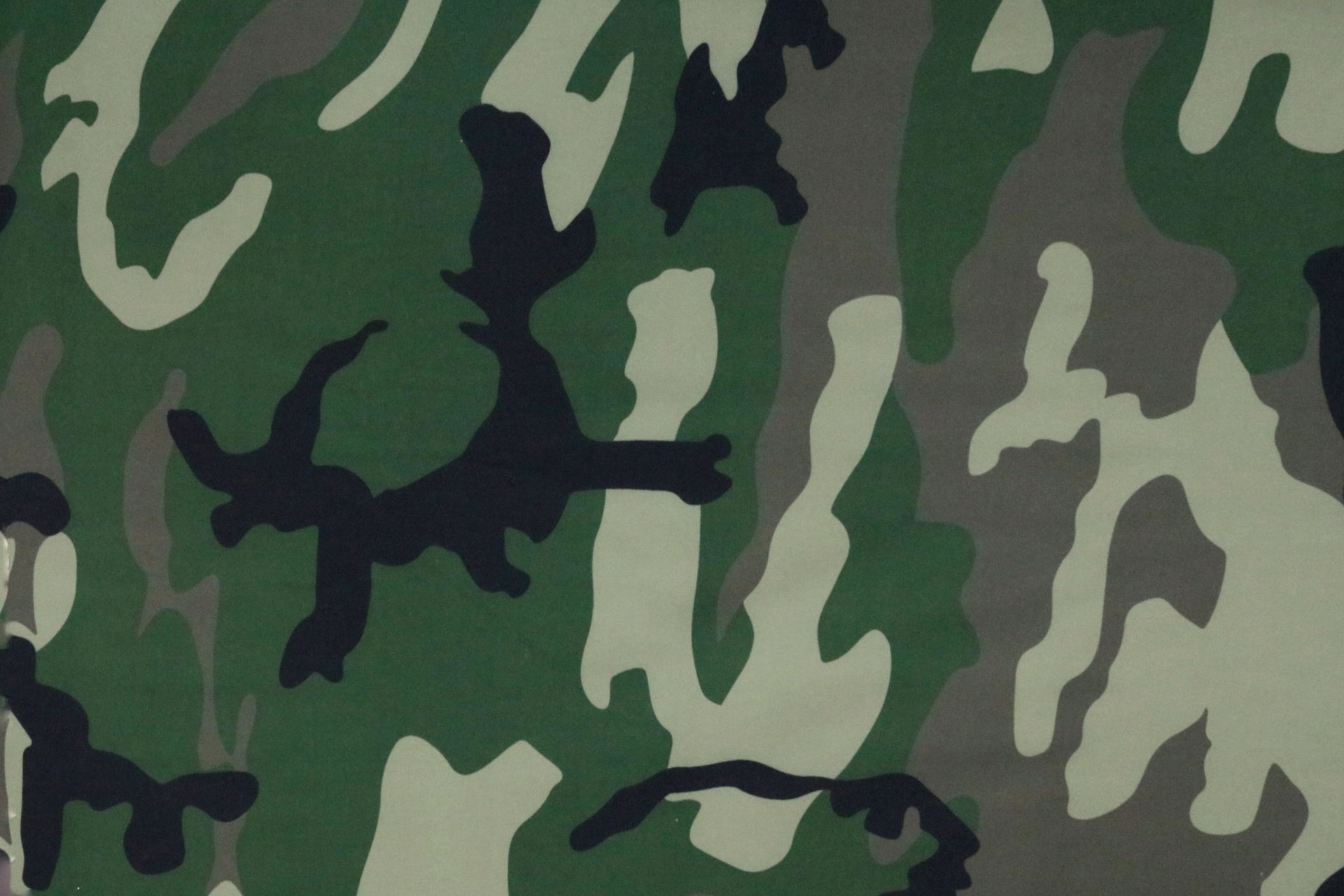Printed Softshell