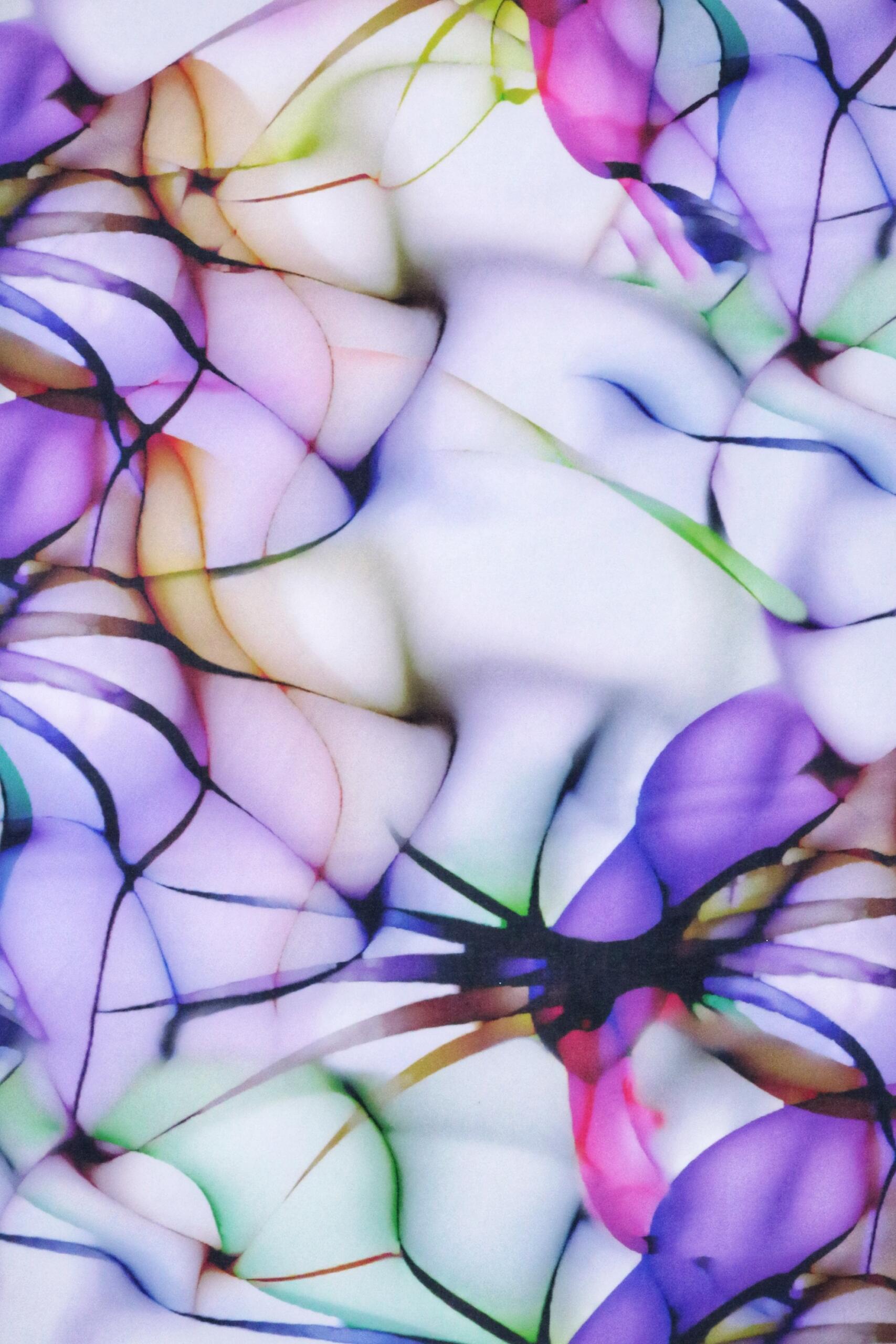 Printed Chiffon - Image 2